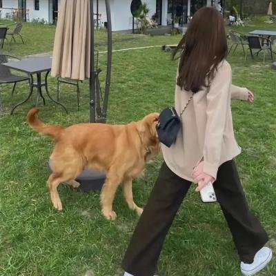 特蕾莎是一位母亲